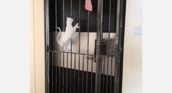 Cat with Butterfly Wrought Iron HDB Gate
