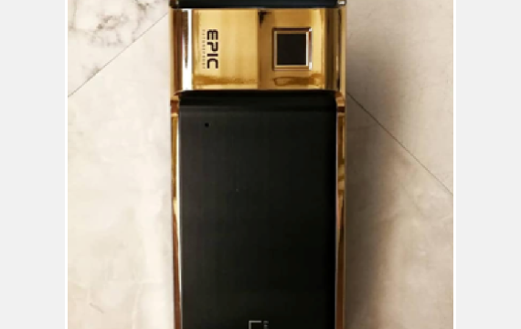 EPIC-24K-Gold-Platted-Gate-Digital-Lock-1
