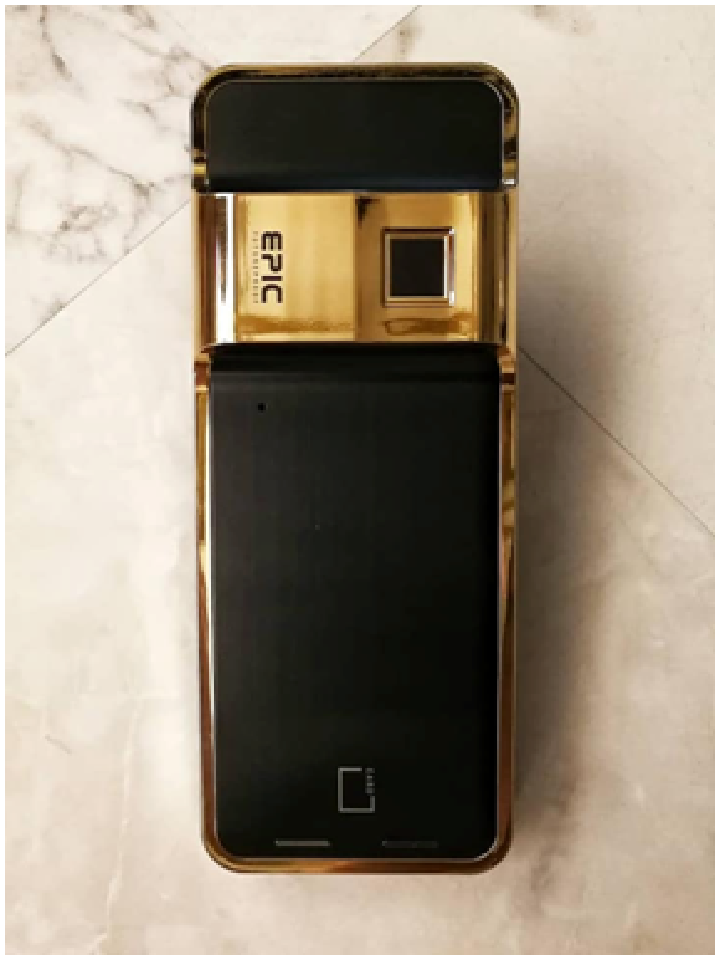 EPIC 24K Gold Platted Gate Digital Lock