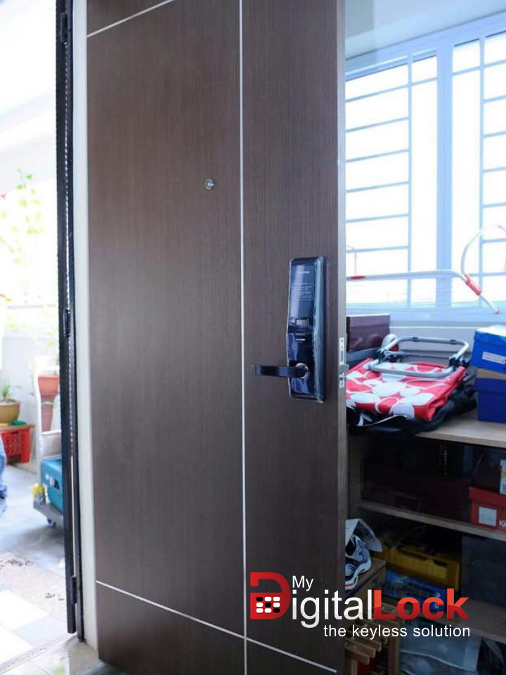 Veneer Solid HDB Main Door Single Leaf 3×7 Feet