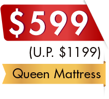 Pocket Spring Mattress | 599