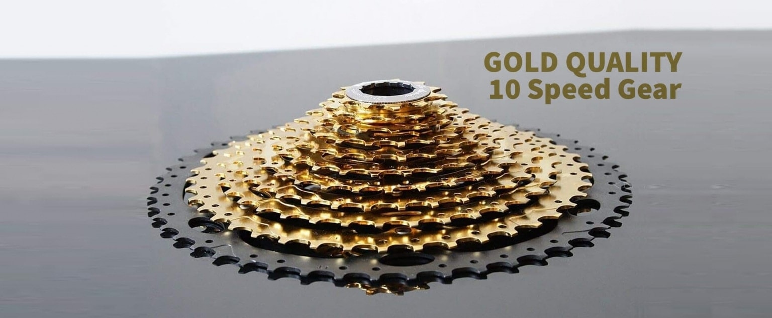 CAMP-GOLD-10-Speed-Gear