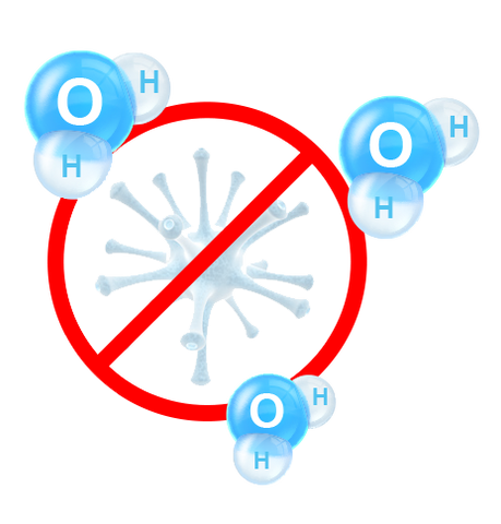 cell membrane