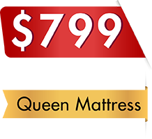 Premium Bedframe Queen Mattress 799