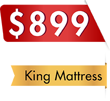 Premium Bedframe Queen Mattress 899