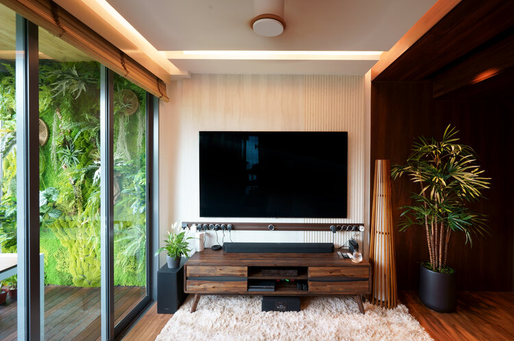 TV Area Gallery