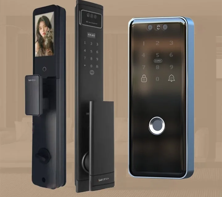 MDL - Lusano+ Jupiter Palm Bundle