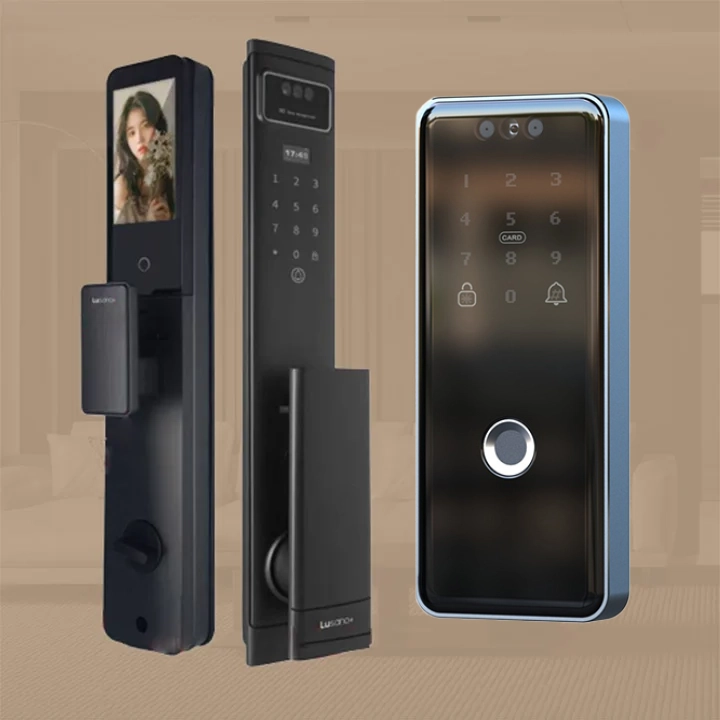 MDL - Lusano+ Jupiter Palm Bundle