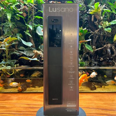 2025 Best Digital Door Lock Singapore (2) 2025 Best Digital Door Lock Singapore (2)