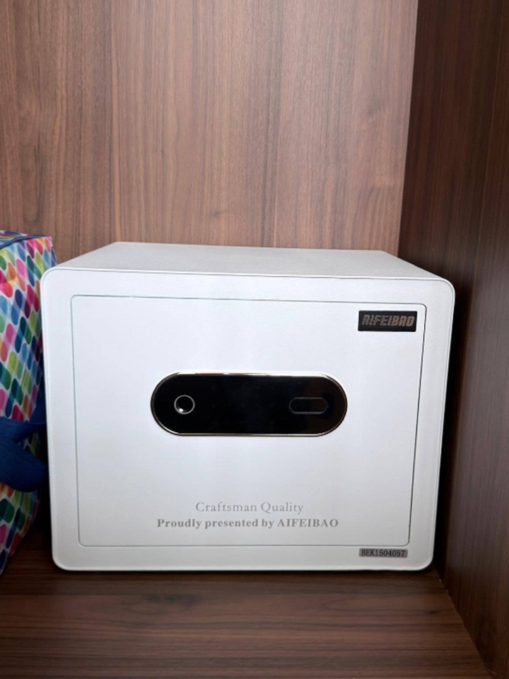 The Solitaire 30 Leather Safe