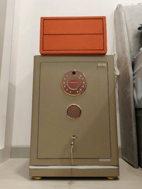 Evora Designer Leather Safe 100 - Image 8