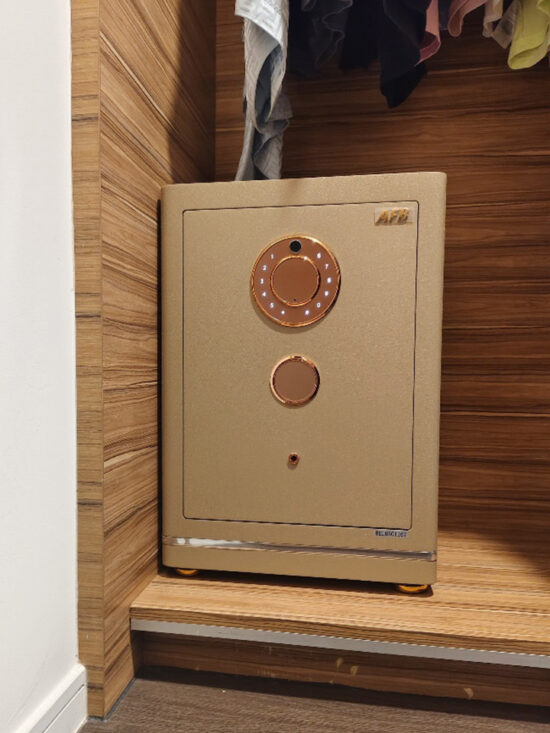 Evora Designer Leather Safe 100 - Image 6