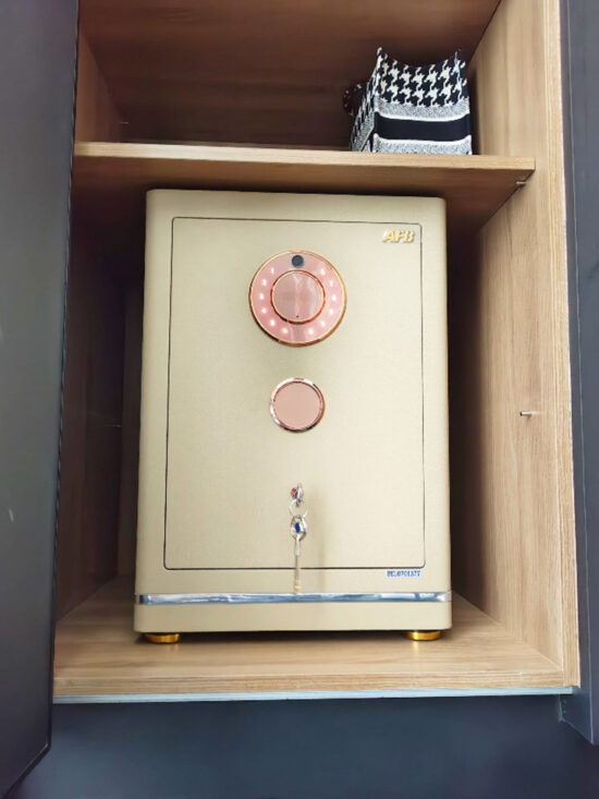 Evora Designer Leather Safe 100 - Image 5
