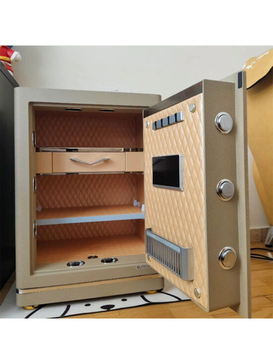 Evora Designer Leather Safe 100 - Image 9