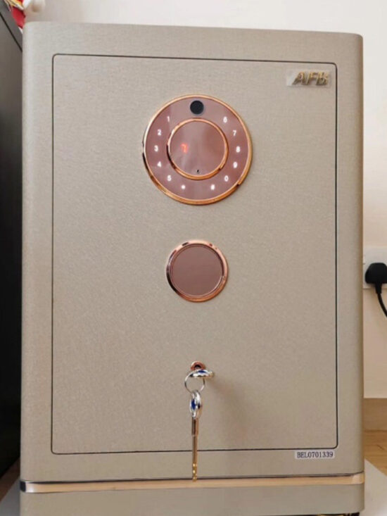 Evora Designer Leather Safe 100 - Image 10