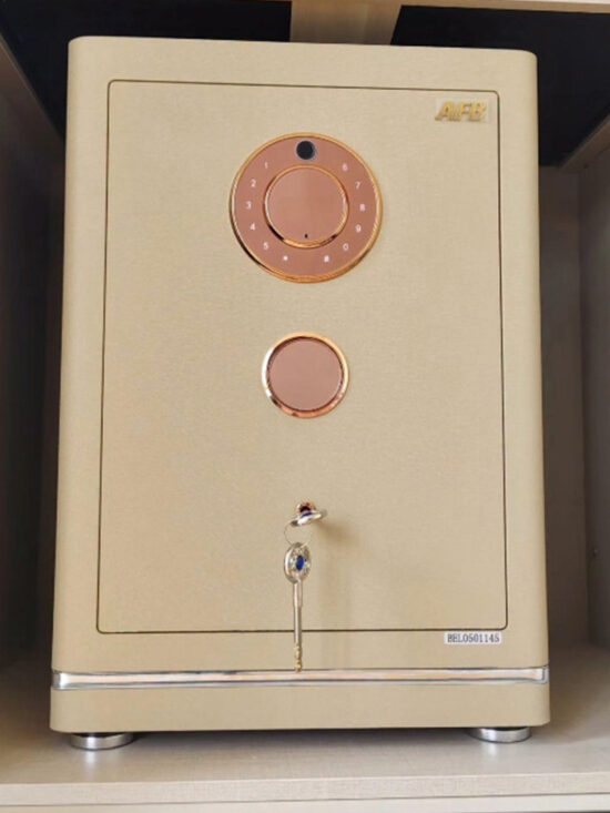 Evora Designer Leather Safe 100 - Image 12