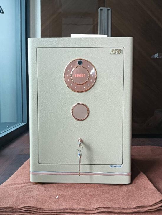 Evora Designer Leather Safe 100 - Image 14