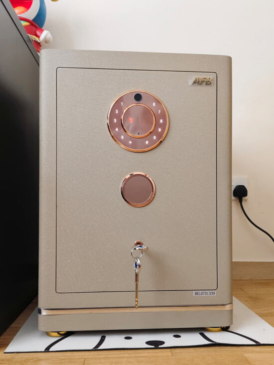 Evora Designer Leather Safe 100 - Image 7