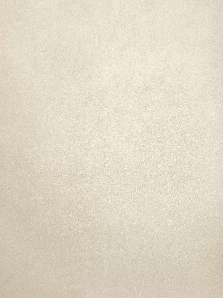 Laminate Door - LVC1512 Laminate Door - LVC1512