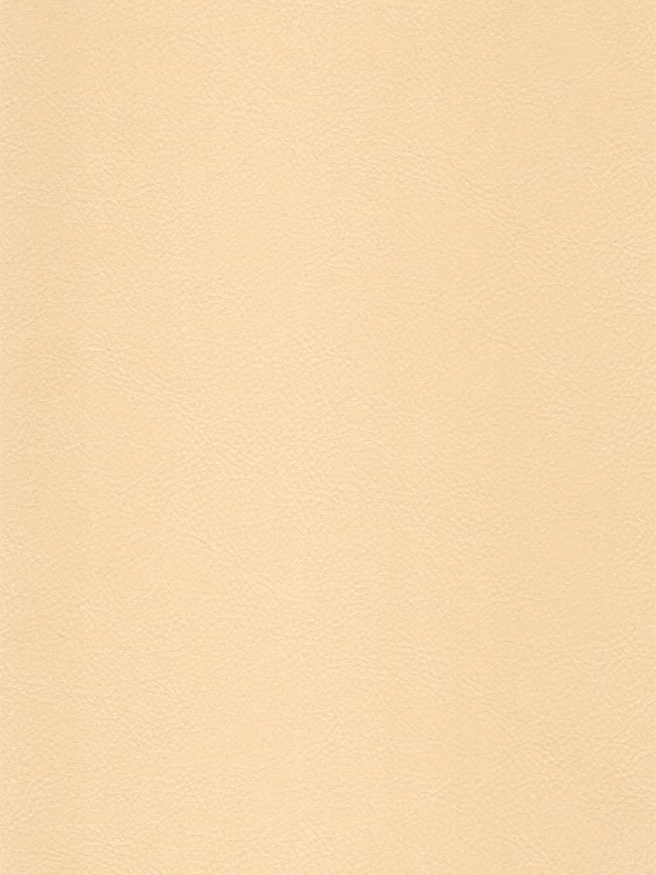 Laminate Door - LVL1521 Laminate Door - LVL1521